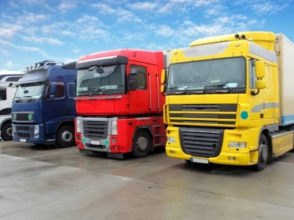 İzmir Pazaryolu Nakliye